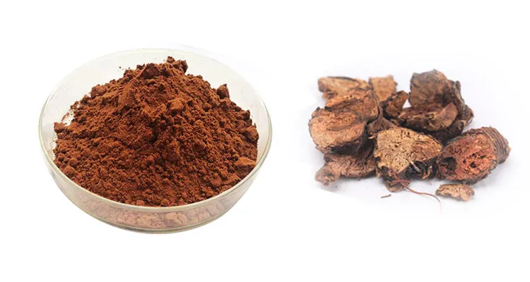 Rhodiola Rosea Extract Powder