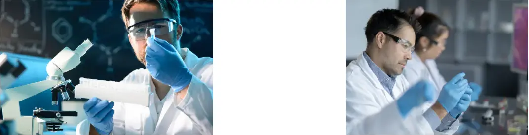 Rhodiola Rosea Extract Powder Rhodiola Rosea Extract Powder