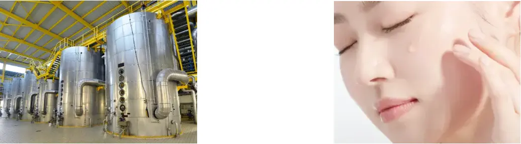 Marasmius Androsaceus Extract