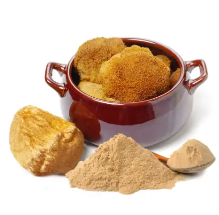 Lion's Mane Mushroom Extract