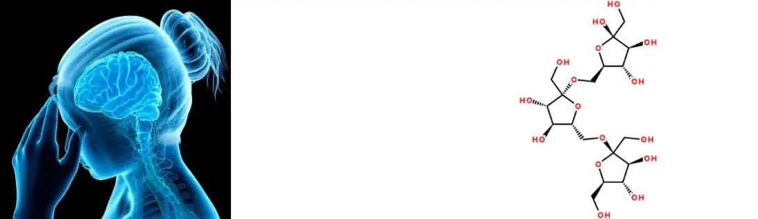 Lion's Mane Mushroom Extract