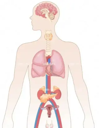 Lion's Mane Mushroom Extract
