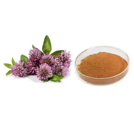 Red Clover Extract Powder