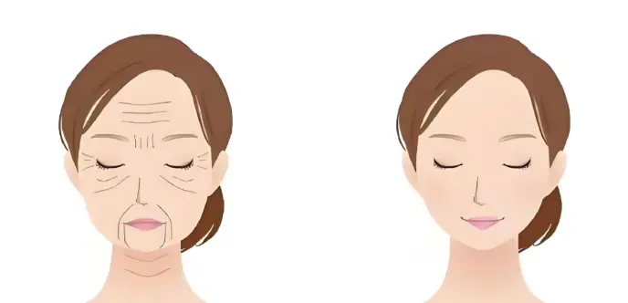 Red Clover Extract Powder