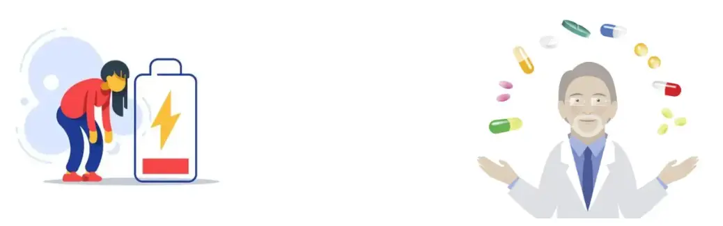 Schisandra Extract Powder