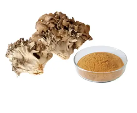 Maitake Extract