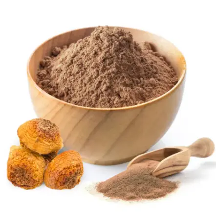 Agaricus Blazei Extract