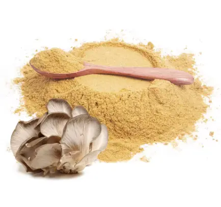 Oyster Mushroom Extract Oyster Mushroom Extract