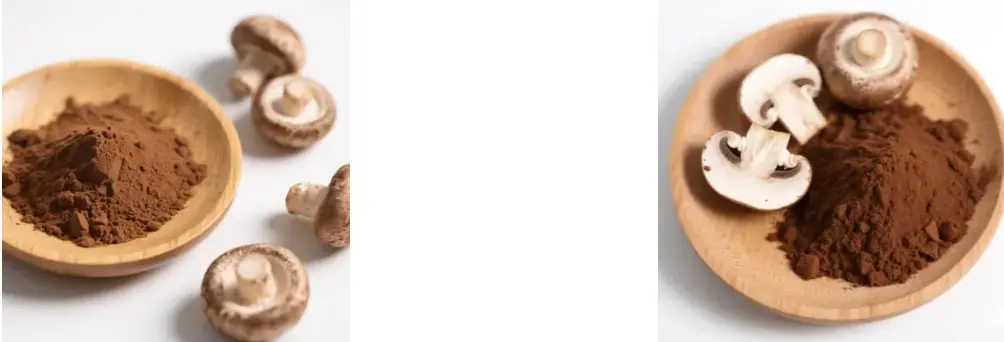 Shiitake Mushroom Powder Shiitake Mushroom Powder