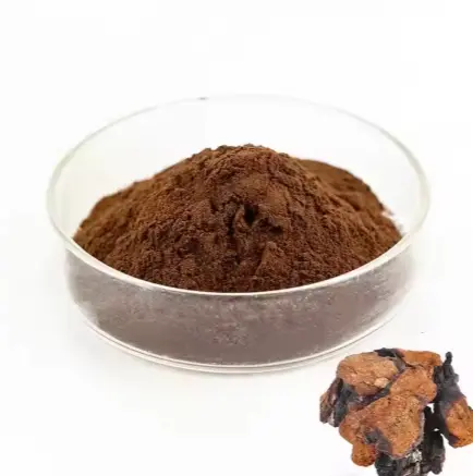 Chaga Mushroom Powder Chaga Mushroom Powder