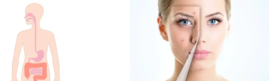 Chaga Mushroom Powder Chaga Mushroom Powder