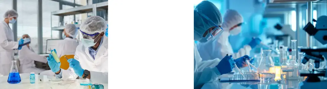 Pomegranate Peel Extract Powder Pomegranate Peel Extract Powder