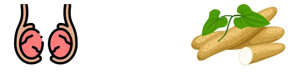 Wild Yam Extract Powder Wild Yam Extract Powder