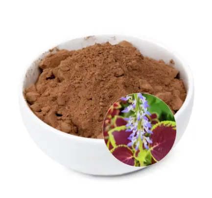 Coleus Forskohlii Extract Coleus Forskohlii Extract