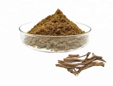 Siberian Ginseng Extract Powder Siberian Ginseng Extract Powder