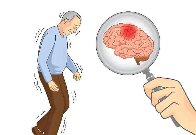 Siberian Ginseng Extract Powder