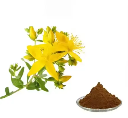 st johns wort standardized extract st johns wort standardized extract