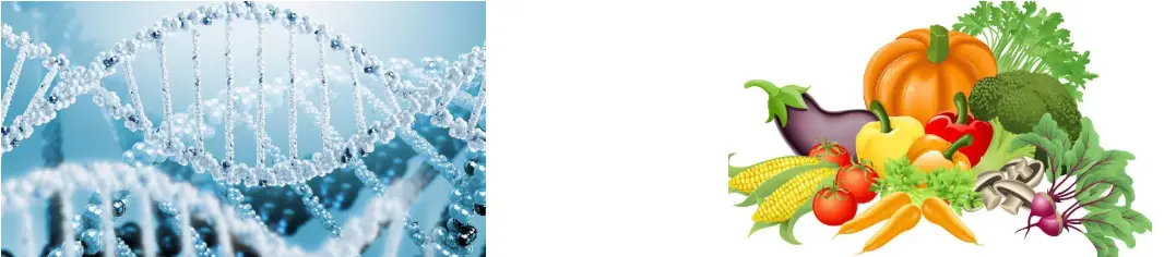 st johns wort standardized extract