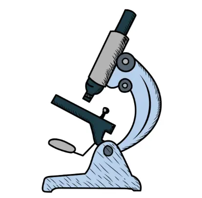 Artichoke Extract Powder