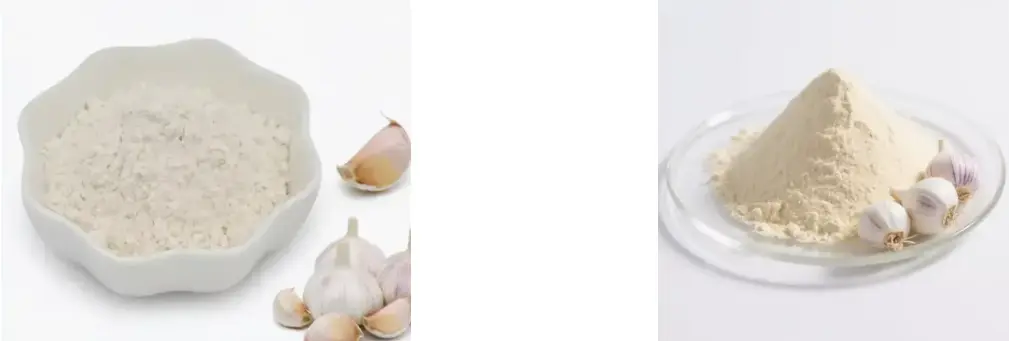 garlic extract powder