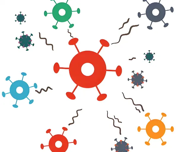 garlic extract powder garlic extract powder