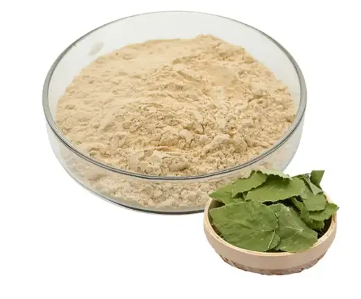 Epimedium Extract Powder Epimedium Extract Powder