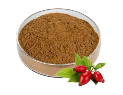 rosehip fruit extract rosehip fruit extract