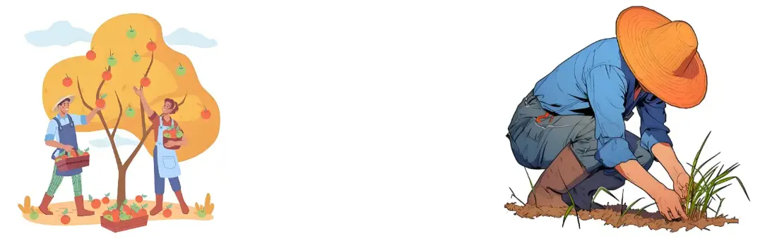 rosehip fruit extract rosehip fruit extract