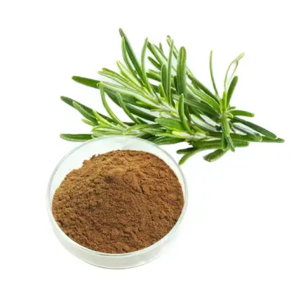 Rosemary leaf extract