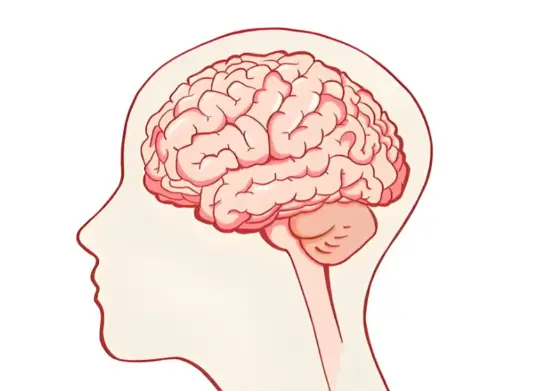 Rosemary leaf extract