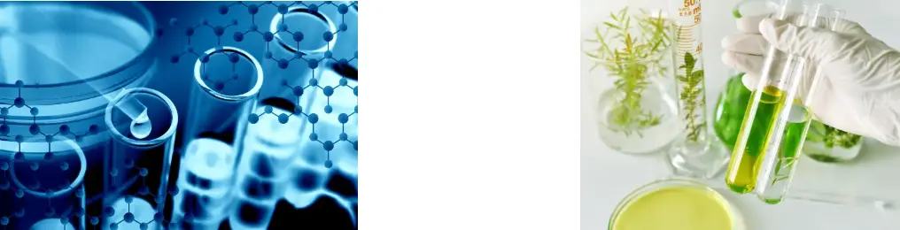 Scutellaria Baicalensis Extract