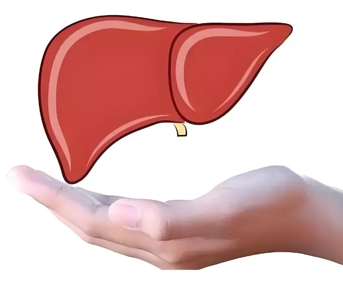 Scutellaria Baicalensis Extract