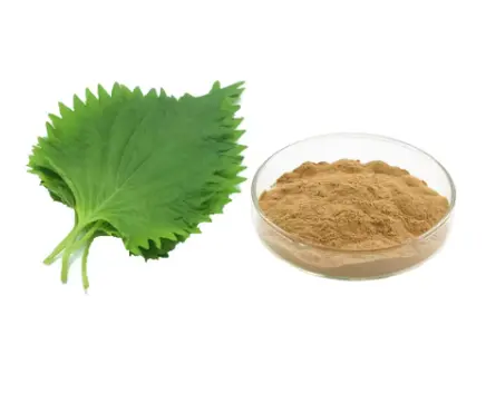 Mulberry Leaf Extract Powder Mulberry Leaf Extract Powder