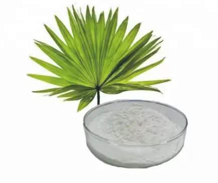 Saw Palmetto Extract
