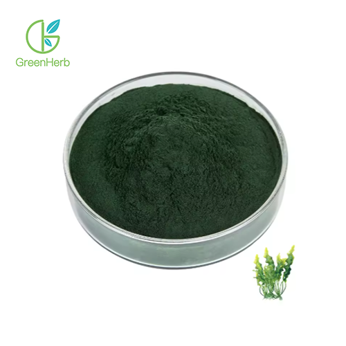 Spirulina Powder 60% Protein