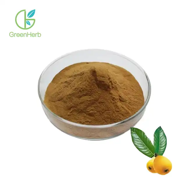 Extracto de folla de níspero en po