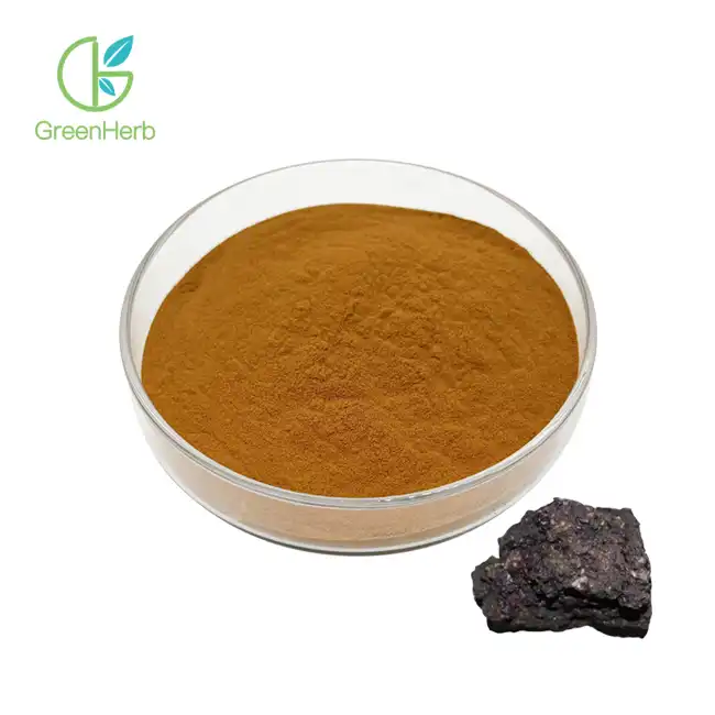 Extracto de Shilajit en po