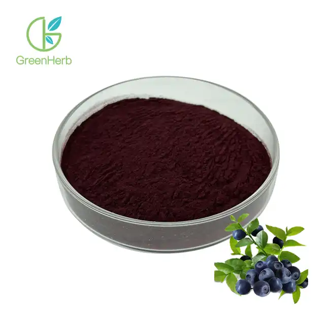 Extracto de arándano en po