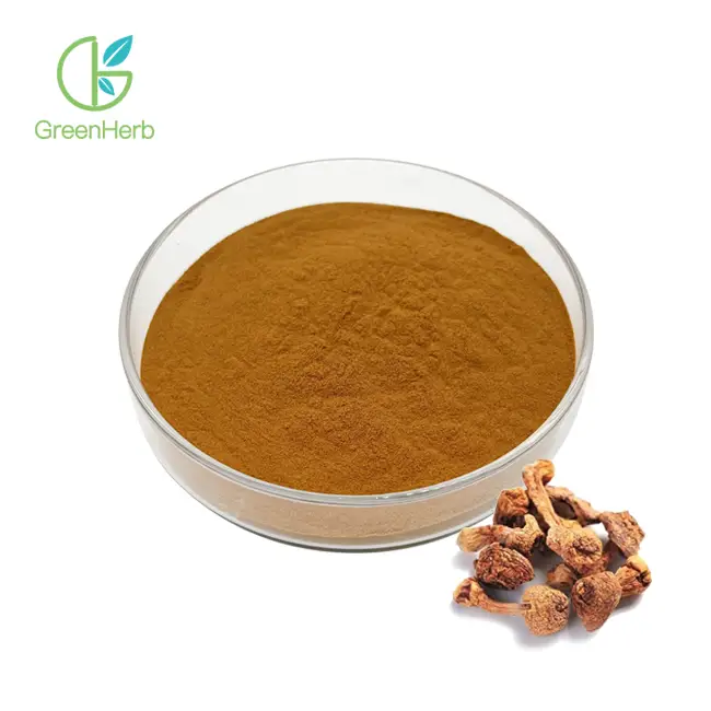 Extracto de Agaricus Blazei