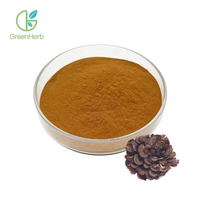 Bubuk Jamur Maitake