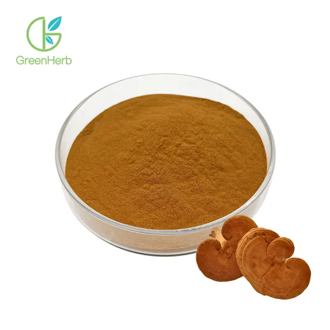 Reishi Mushroom tangohanga paura