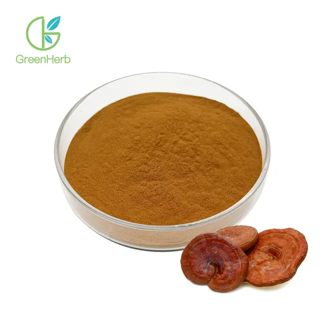 Bubuk Jamur Reishi
