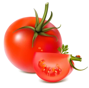 Lycopene Powder