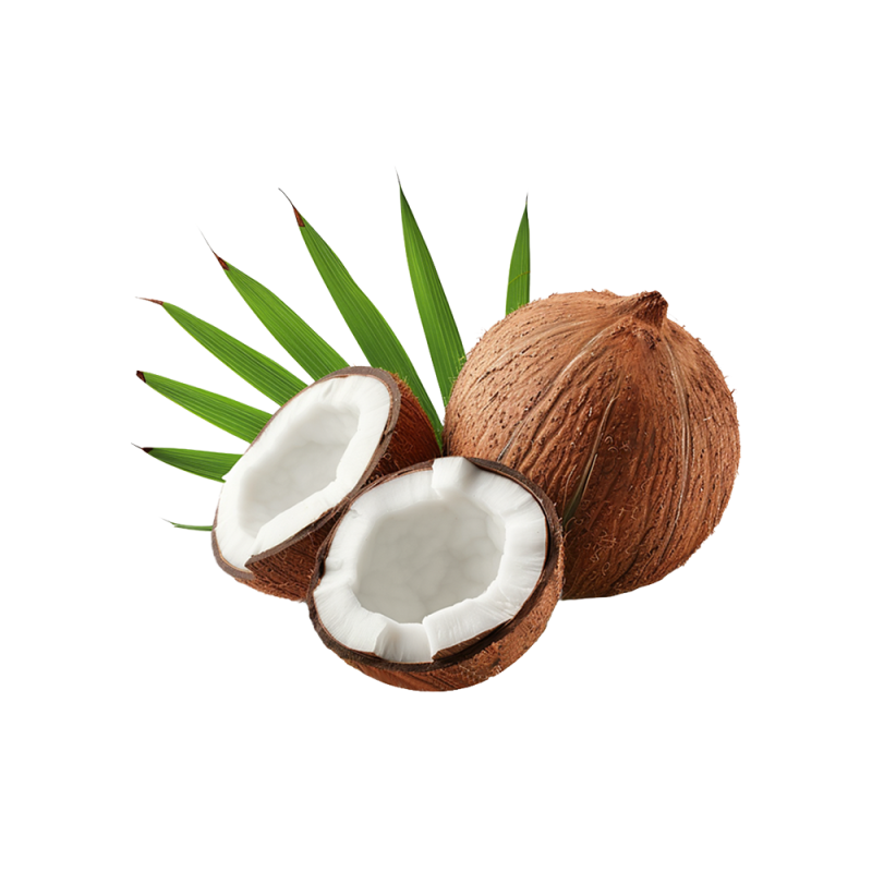 Coconut Milk Powder