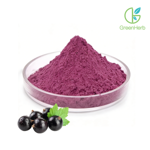 Elderberry powder