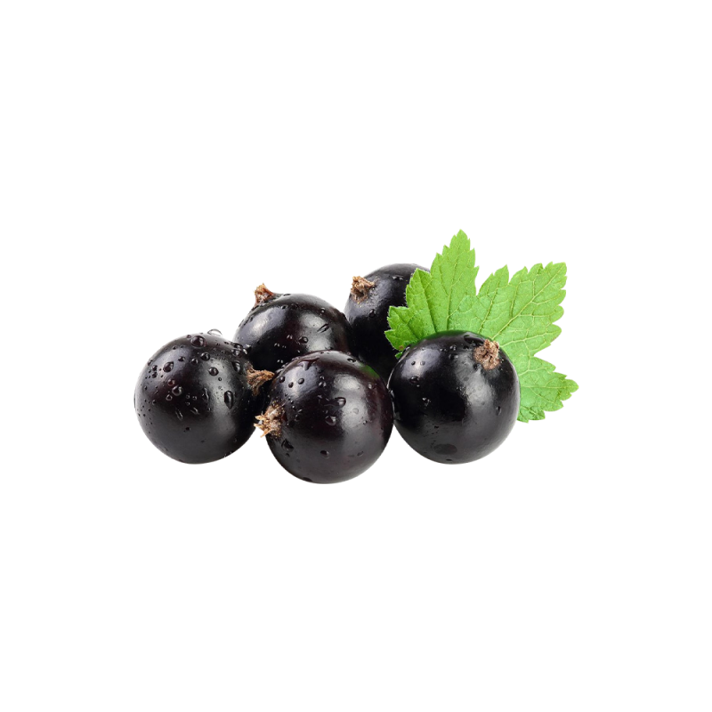 Elderberry powder