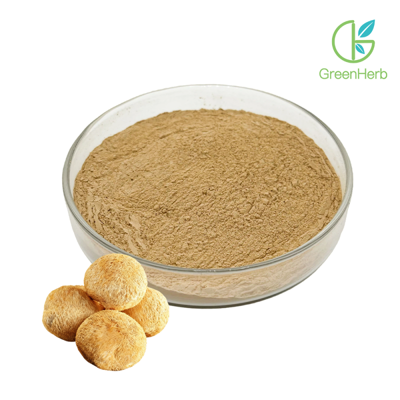 Lion's Mane Mushroom Extract Powder