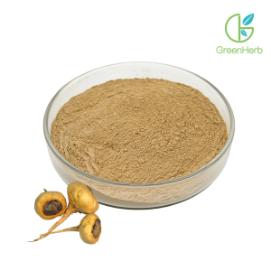 Maca Extract Powder