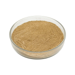 Maca Extract Powder