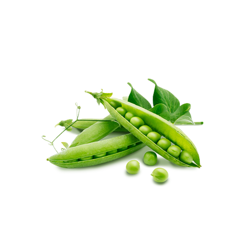 Pea Protein Powder 85%